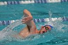 Swim vs Bentley  Wheaton College Swimming & Diving vs Bentley University. - Photo by Keith Nordstrom : Wheaton, Swimming & Diving